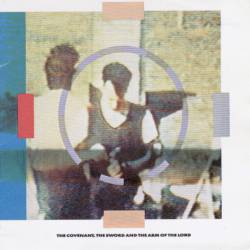 Cabaret Voltaire : The Covenant, the Sword and the Arm of the Lord